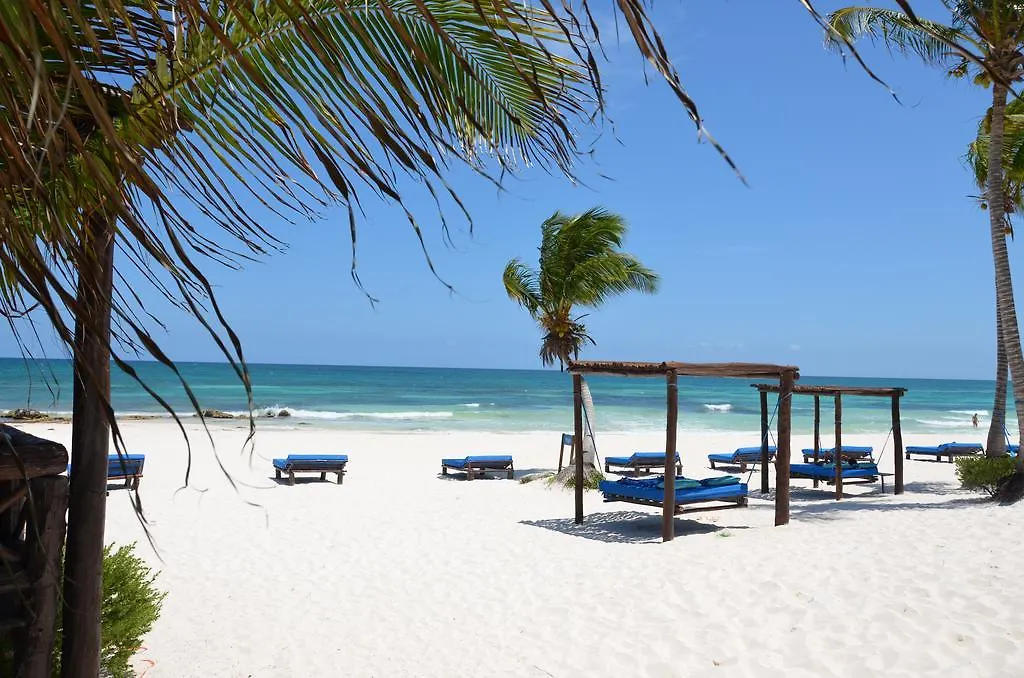 Apartment Stay In Tulum! Mexico
